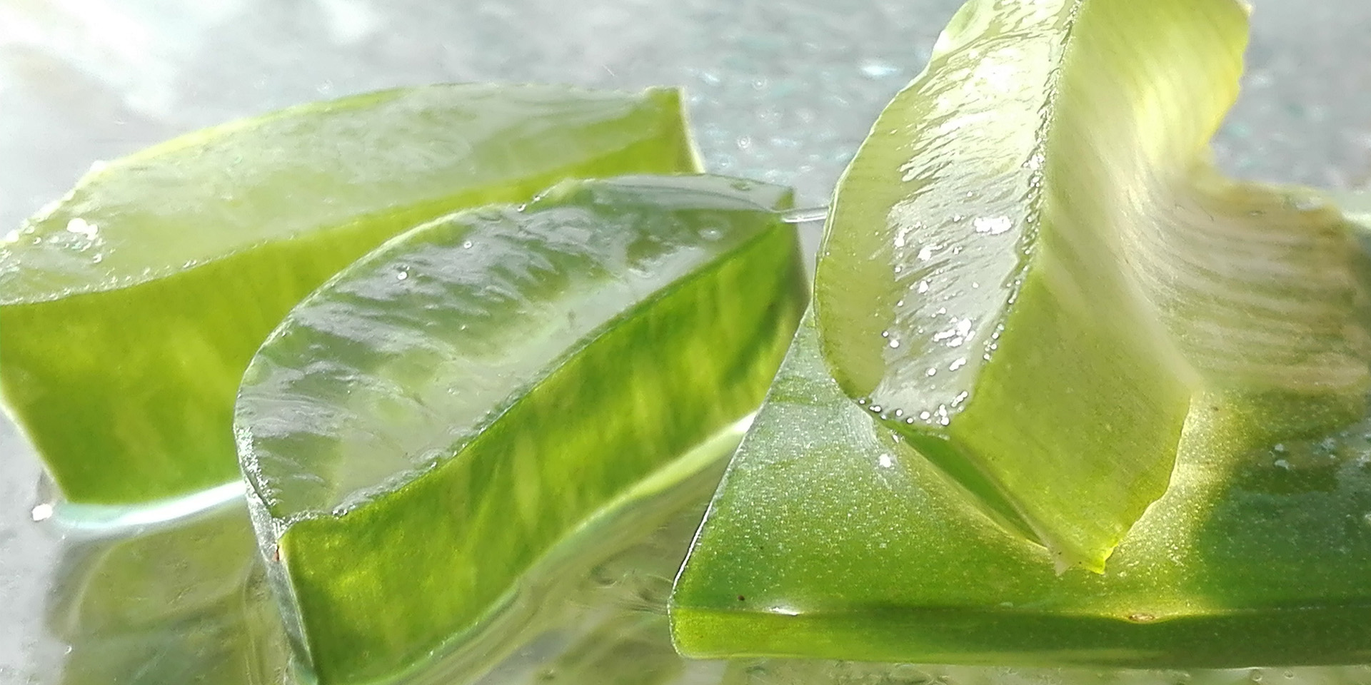 Aufgeschnittene, frische Aloe Vera
