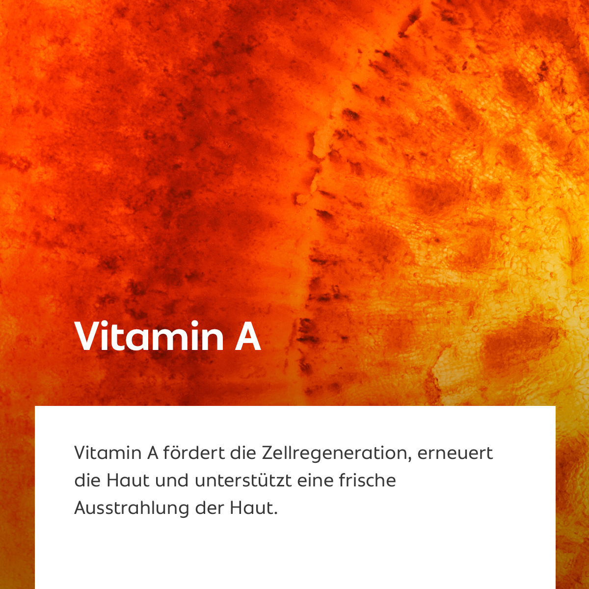 Leuchtend orange Struktur, Symbol für zellerneuernde und regenerierende Wirkung