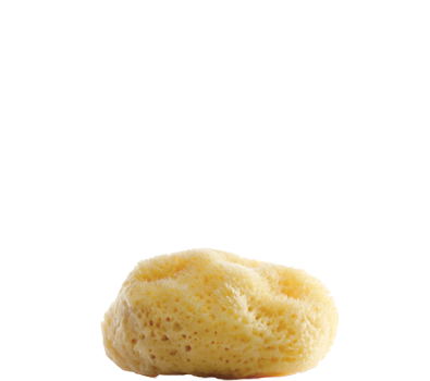 Marine Balance natur Gesichtsschwamm